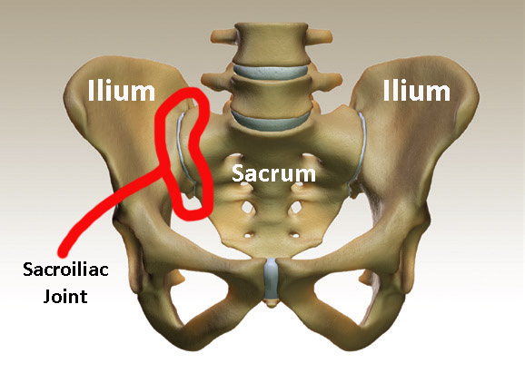 Lower Back Pain - Neurosurgery of St. Louis